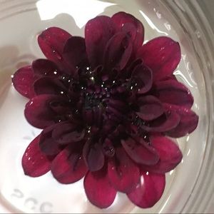 Meet your Posher, Cassandra